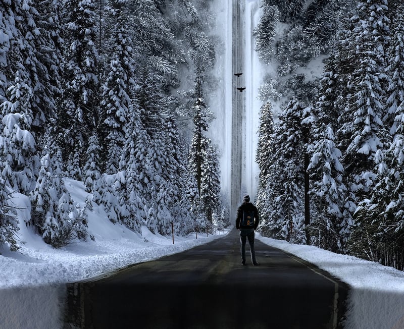 Dream Journeys